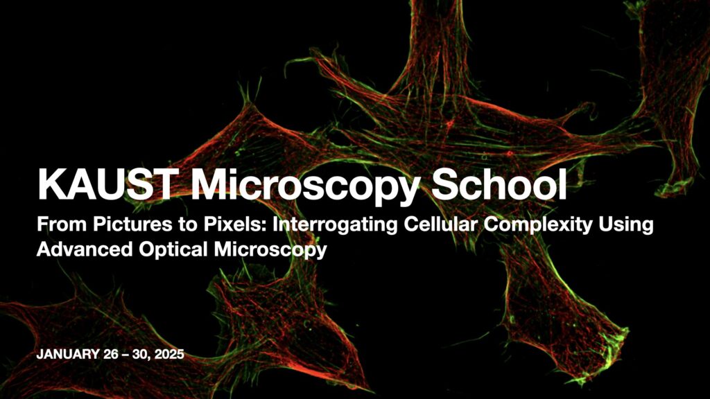 KAUST Microscopy School